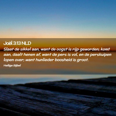 Picture 02 - Joël 3:13 NLD - Slaat de sikkel aan, want de oogst is rijp - Bible Verse Picture