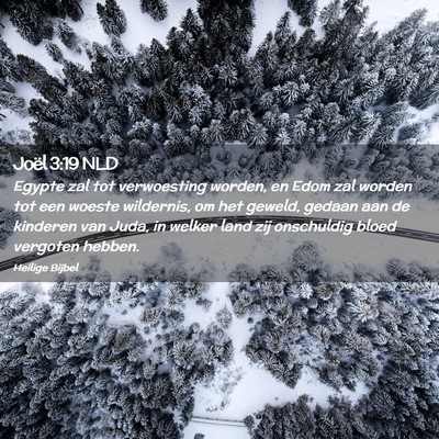 Picture 02 - Joël 3:19 NLD - Egypte zal tot verwoesting worden, en Edom zal - Bible Verse Picture