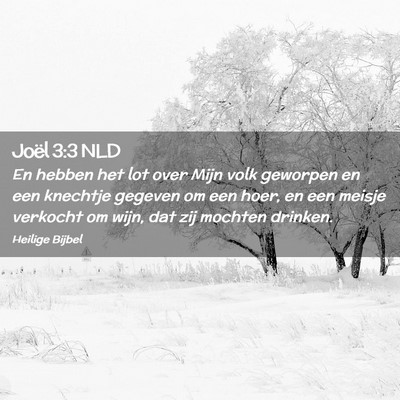 Picture 02 - Joël 3:3 NLD - En hebben het lot over Mijn volk geworpen en een - Bible Verse Picture
