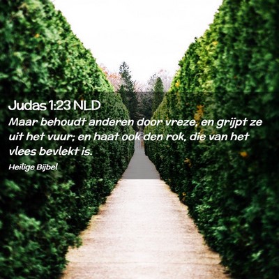 Picture 02 - Judas 1:23 NLD - Maar behoudt anderen door vreze, en grijpt ze uit - Bible Verse Picture