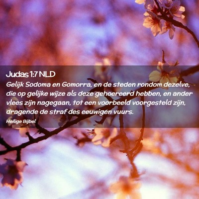 Picture 02 - Judas 1:7 NLD - Gelijk Sodoma en Gomorra, en de steden rondom - Bible Verse Picture