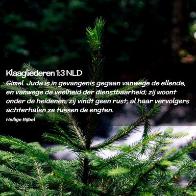 Picture 02 - Klaagliederen 1:3 NLD - Gimel. Juda is in gevangenis gegaan vanwege de - Bible Verse Picture