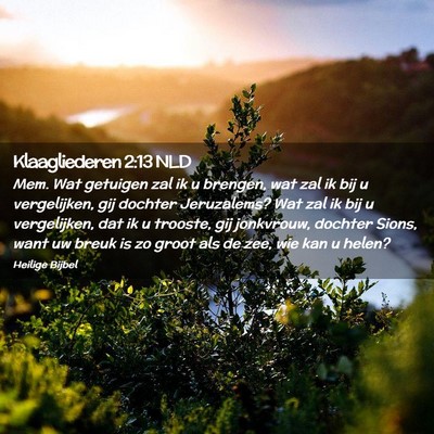 Picture 02 - Klaagliederen 2:13 NLD - Mem. Wat getuigen zal ik u brengen, wat zal ik - Bible Verse Picture