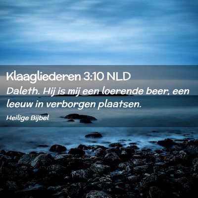 Picture 02 - Klaagliederen 3:10 NLD - Daleth. Hij is mij een loerende beer, een leeuw - Bible Verse Picture