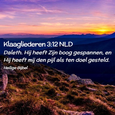 Picture 02 - Klaagliederen 3:12 NLD - Daleth. Hij heeft Zijn boog gespannen, en Hij - Bible Verse Picture