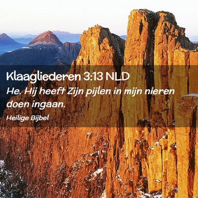 Picture 02 - Klaagliederen 3:13 NLD - He. Hij heeft Zijn pijlen in mijn nieren doen - Bible Verse Picture