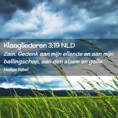 Picture 02 - Klaagliederen 3:19 NLD - Zain. Gedenk aan mijn ellende en aan mijn - Bible Verse Picture