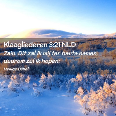 Picture 02 - Klaagliederen 3:21 NLD - Zain. Dit zal ik mij ter harte nemen, daarom zal - Bible Verse Picture