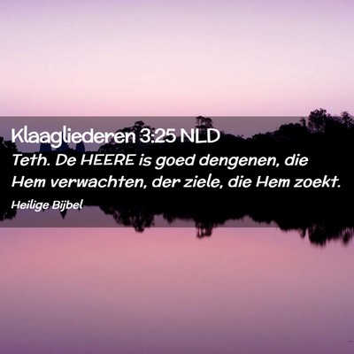 Picture 02 - Klaagliederen 3:25 NLD - Teth. De HEERE is goed dengenen, die Hem - Bible Verse Picture