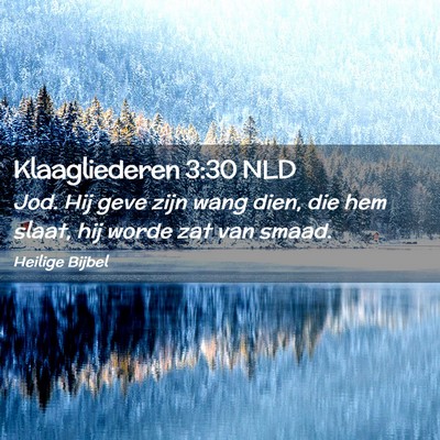 Picture 02 - Klaagliederen 3:30 NLD - Jod. Hij geve zijn wang dien, die hem slaat, hij - Bible Verse Picture