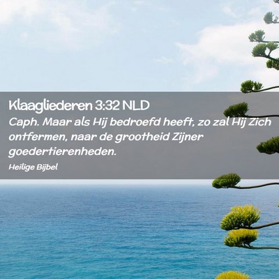 Picture 02 - Klaagliederen 3:32 NLD - Caph. Maar als Hij bedroefd heeft, zo zal Hij - Bible Verse Picture