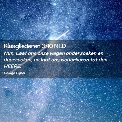 Picture 02 - Klaagliederen 3:40 NLD - Nun. Laat ons onze wegen onderzoeken en - Bible Verse Picture
