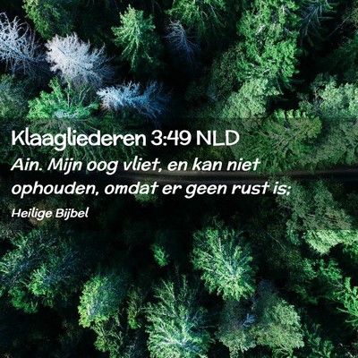 Picture 02 - Klaagliederen 3:49 NLD - Ain. Mijn oog vliet, en kan niet ophouden, omdat - Bible Verse Picture