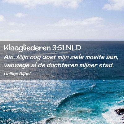 Picture 02 - Klaagliederen 3:51 NLD - Ain. Mijn oog doet mijn ziele moeite aan, vanwege - Bible Verse Picture
