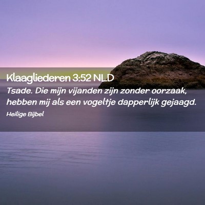 Picture 02 - Klaagliederen 3:52 NLD - Tsade. Die mijn vijanden zijn zonder oorzaak, - Bible Verse Picture
