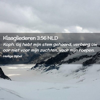 Picture 02 - Klaagliederen 3:56 NLD - Koph. Gij hebt mijn stem gehoord, verberg Uw oor - Bible Verse Picture
