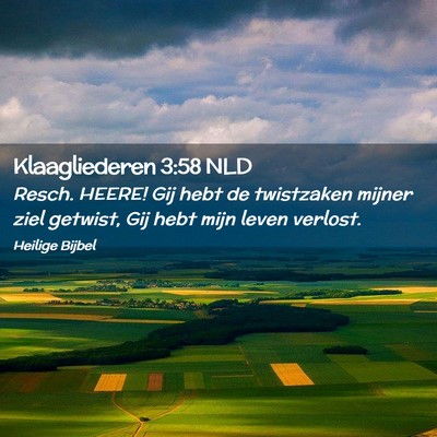 Picture 02 - Klaagliederen 3:58 NLD - Resch. HEERE! Gij hebt de twistzaken mijner ziel - Bible Verse Picture