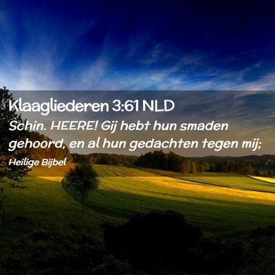 Picture 02 - Klaagliederen 3:61 NLD - Schin. HEERE! Gij hebt hun smaden gehoord, en al - Bible Verse Picture