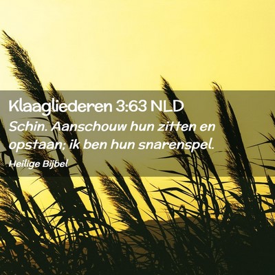 Picture 02 - Klaagliederen 3:63 NLD - Schin. Aanschouw hun zitten en opstaan; ik ben - Bible Verse Picture