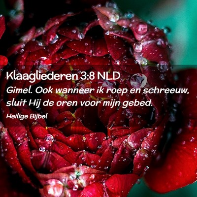 Picture 02 - Klaagliederen 3:8 NLD - Gimel. Ook wanneer ik roep en schreeuw, sluit Hij - Bible Verse Picture