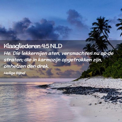 Picture 02 - Klaagliederen 4:5 NLD - He. Die lekkernijen aten, versmachten nu op de - Bible Verse Picture