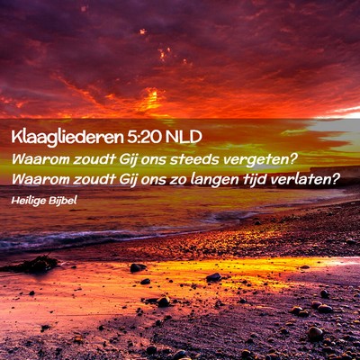 Picture 02 - Klaagliederen 5:20 NLD - Waarom zoudt Gij ons steeds vergeten? Waarom - Bible Verse Picture