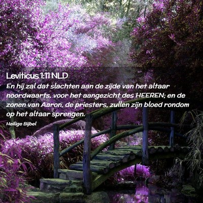 Picture 02 - Leviticus 1:11 NLD - En hij zal dat slachten aan de zijde van het - Bible Verse Picture