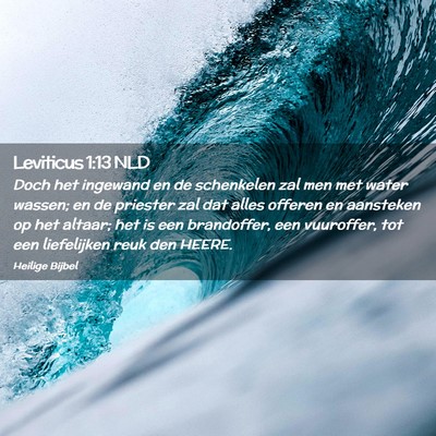 Picture 02 - Leviticus 1:13 NLD - Doch het ingewand en de schenkelen zal men met - Bible Verse Picture