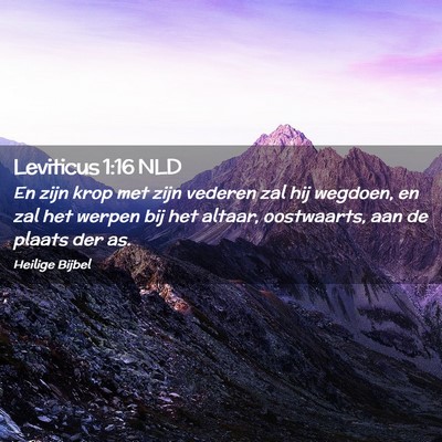 Picture 02 - Leviticus 1:16 NLD - En zijn krop met zijn vederen zal hij wegdoen, en - Bible Verse Picture