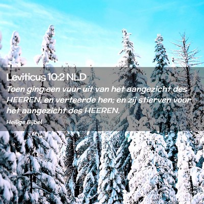 Picture 02 - Leviticus 10:2 NLD - Toen ging een vuur uit van het aangezicht des - Bible Verse Picture