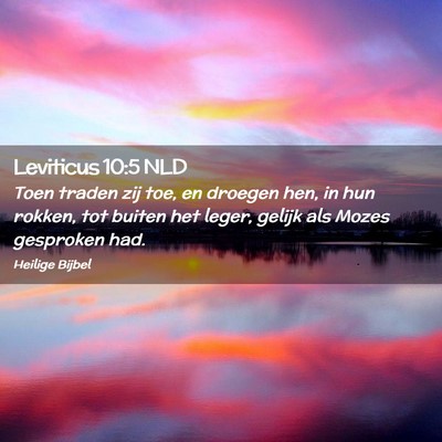 Picture 02 - Leviticus 10:5 NLD - Toen traden zij toe, en droegen hen, in hun - Bible Verse Picture