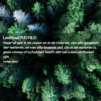 Picture 02 - Leviticus 11:10 NLD - Maar al wat in de zeeen en in de rivieren, van - Bible Verse Picture