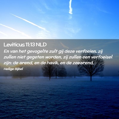 Picture 02 - Leviticus 11:13 NLD - En van het gevogelte zult gij deze verfoeien, zij - Bible Verse Picture