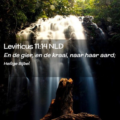 Picture 02 - Leviticus 11:14 NLD - En de gier, en de kraai, naar haar - Bible Verse Picture