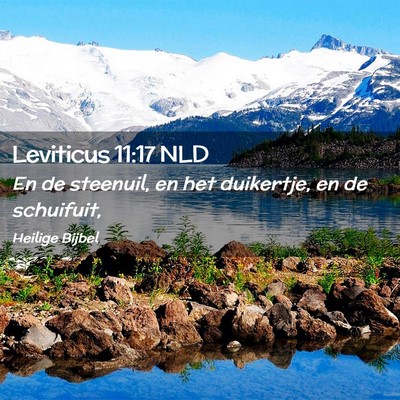Picture 02 - Leviticus 11:17 NLD - En de steenuil, en het duikertje, en de - Bible Verse Picture