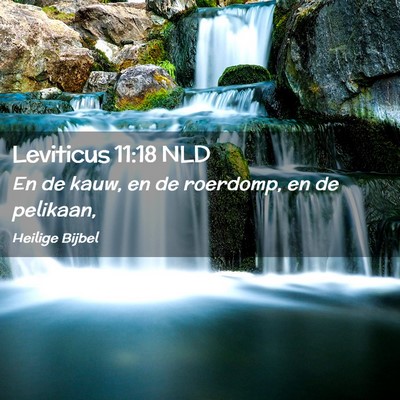 Picture 02 - Leviticus 11:18 NLD - En de kauw, en de roerdomp, en de - Bible Verse Picture