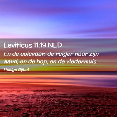 Picture 02 - Leviticus 11:19 NLD - En de ooievaar, de reiger naar zijn aard, en de - Bible Verse Picture