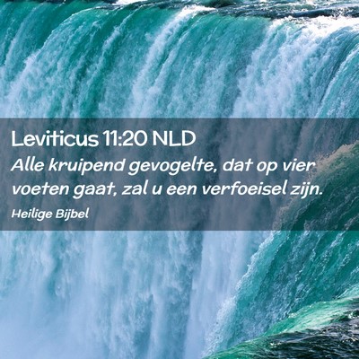 Picture 02 - Leviticus 11:20 NLD - Alle kruipend gevogelte, dat op vier voeten gaat, - Bible Verse Picture