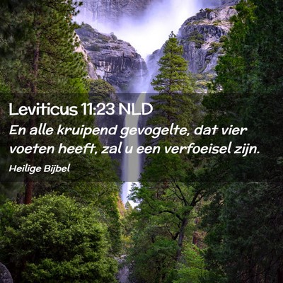 Picture 02 - Leviticus 11:23 NLD - En alle kruipend gevogelte, dat vier voeten - Bible Verse Picture