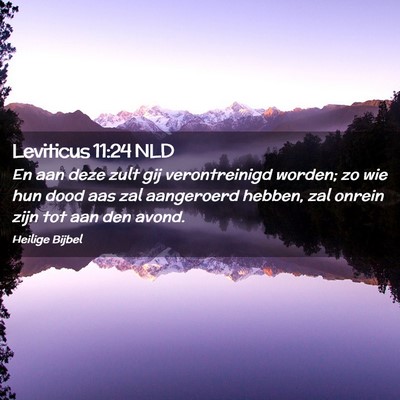 Picture 02 - Leviticus 11:24 NLD - En aan deze zult gij verontreinigd worden; zo wie - Bible Verse Picture