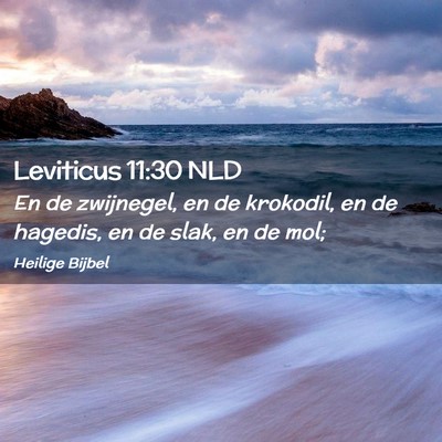 Picture 02 - Leviticus 11:30 NLD - En de zwijnegel, en de krokodil, en de hagedis, - Bible Verse Picture