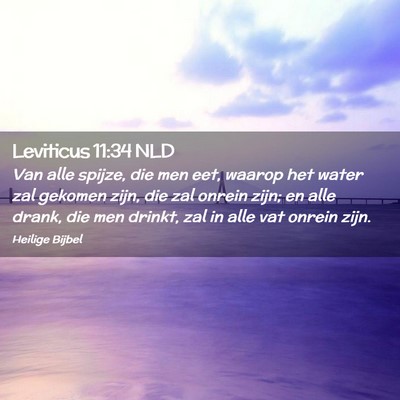 Picture 02 - Leviticus 11:34 NLD - Van alle spijze, die men eet, waarop het water - Bible Verse Picture