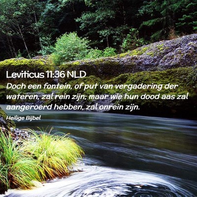 Picture 02 - Leviticus 11:36 NLD - Doch een fontein, of put van vergadering der - Bible Verse Picture