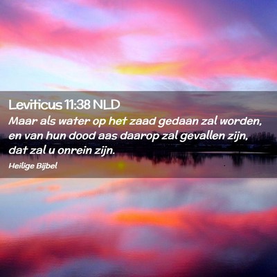 Picture 02 - Leviticus 11:38 NLD - Maar als water op het zaad gedaan zal worden, en - Bible Verse Picture
