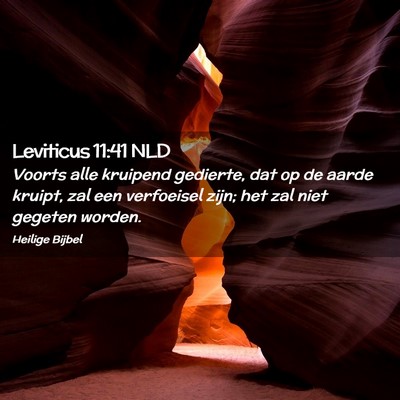 Picture 02 - Leviticus 11:41 NLD - Voorts alle kruipend gedierte, dat op de aarde - Bible Verse Picture
