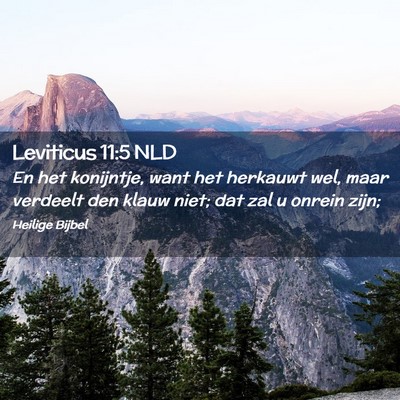 Picture 02 - Leviticus 11:5 NLD - En het konijntje, want het herkauwt wel, maar - Bible Verse Picture
