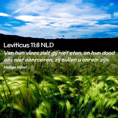 Picture 02 - Leviticus 11:8 NLD - Van hun vlees zult gij niet eten, en hun dood aas - Bible Verse Picture