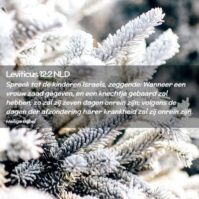 Picture 02 - Leviticus 12:2 NLD - Spreek tot de kinderen Israels, zeggende: Wanneer - Bible Verse Picture