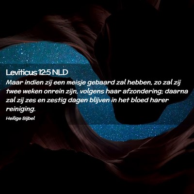 Picture 02 - Leviticus 12:5 NLD - Maar indien zij een meisje gebaard zal hebben, zo - Bible Verse Picture