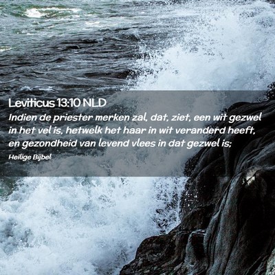 Picture 02 - Leviticus 13:10 NLD - Indien de priester merken zal, dat, ziet, een wit - Bible Verse Picture